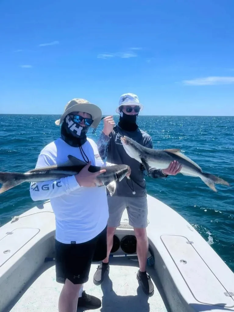 fish moore charters bradenton fl 2025 08 19T12:32:55.728892Z 9504